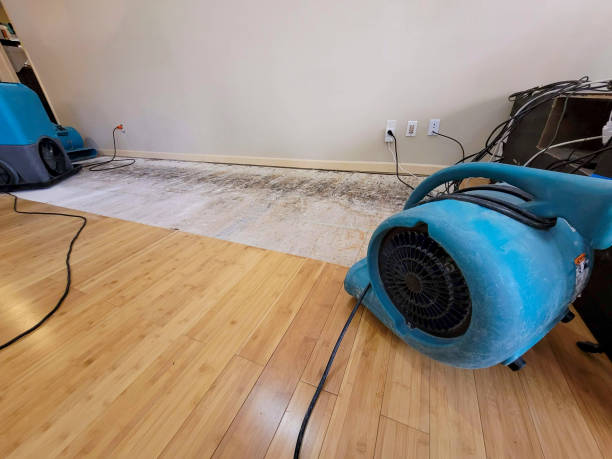 Professional Water Extraction technician working in Ludlow, CA